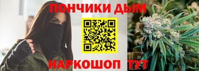 мдпв Новозыбков