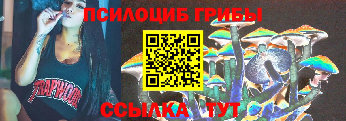 Галлюциногенные грибы Cubensis Среднеуральск