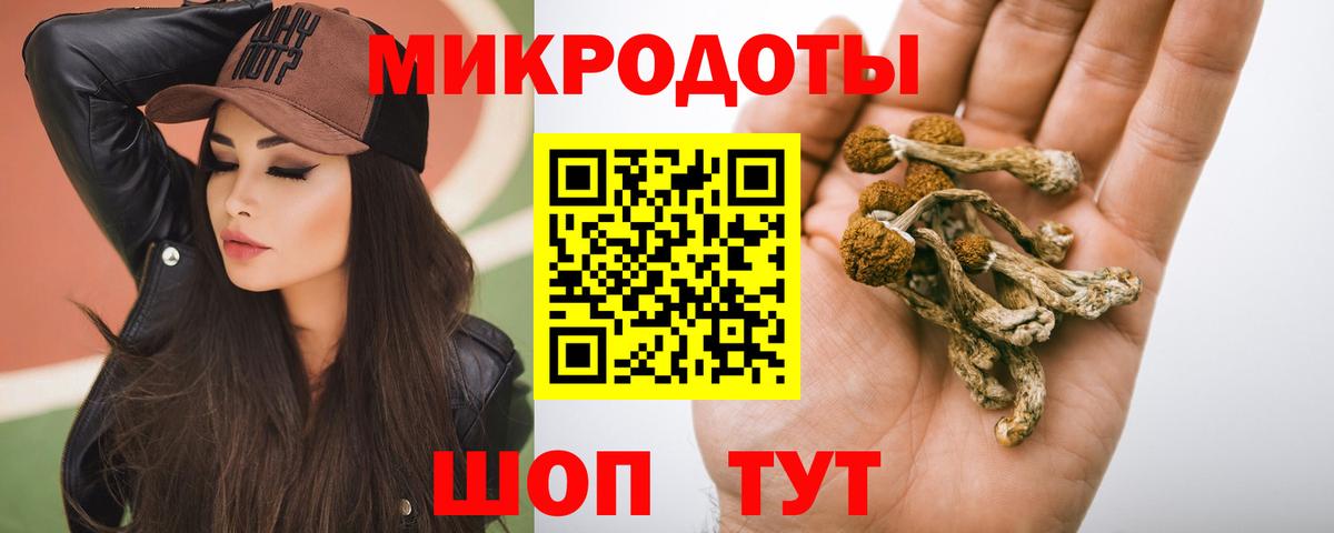 Галлюциногенные грибы MAGIC MUSHROOMS  Галлюциногенные грибы MAGIC MUSHROOMS  Вход с VPN  Среднеуральск 